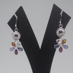Load image into Gallery viewer, Beautiful Multicolored Flower Star Earrings
